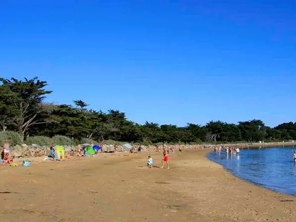 Plage de Locmiquel-Larmor Baden-Golfe-du-Morbihan-Bretagne sud