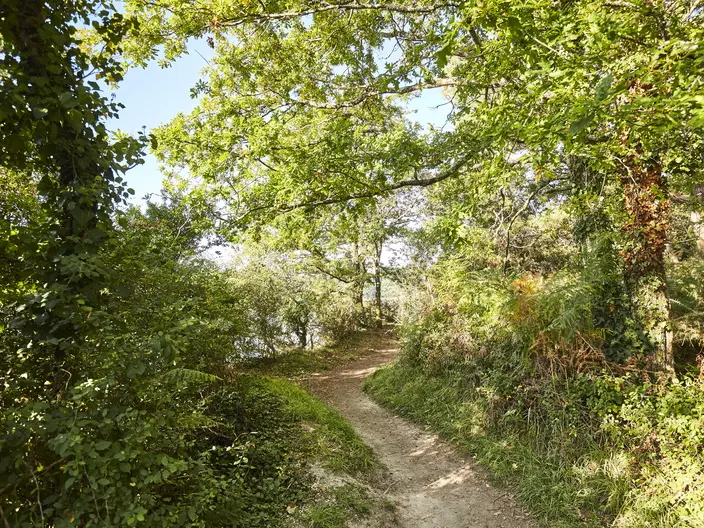 sentier-sainte-avoye-pluneret_792x528