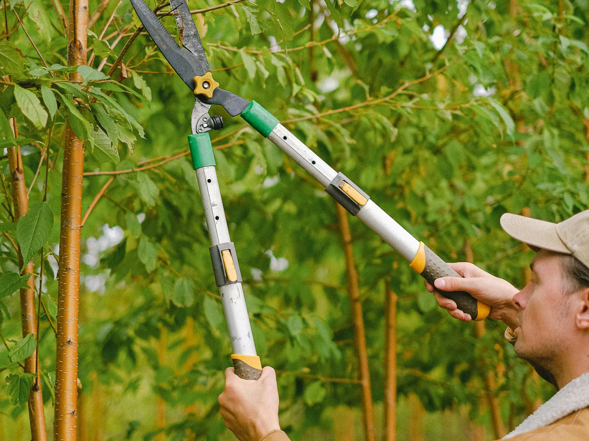 pexels-shvetsa-5231045