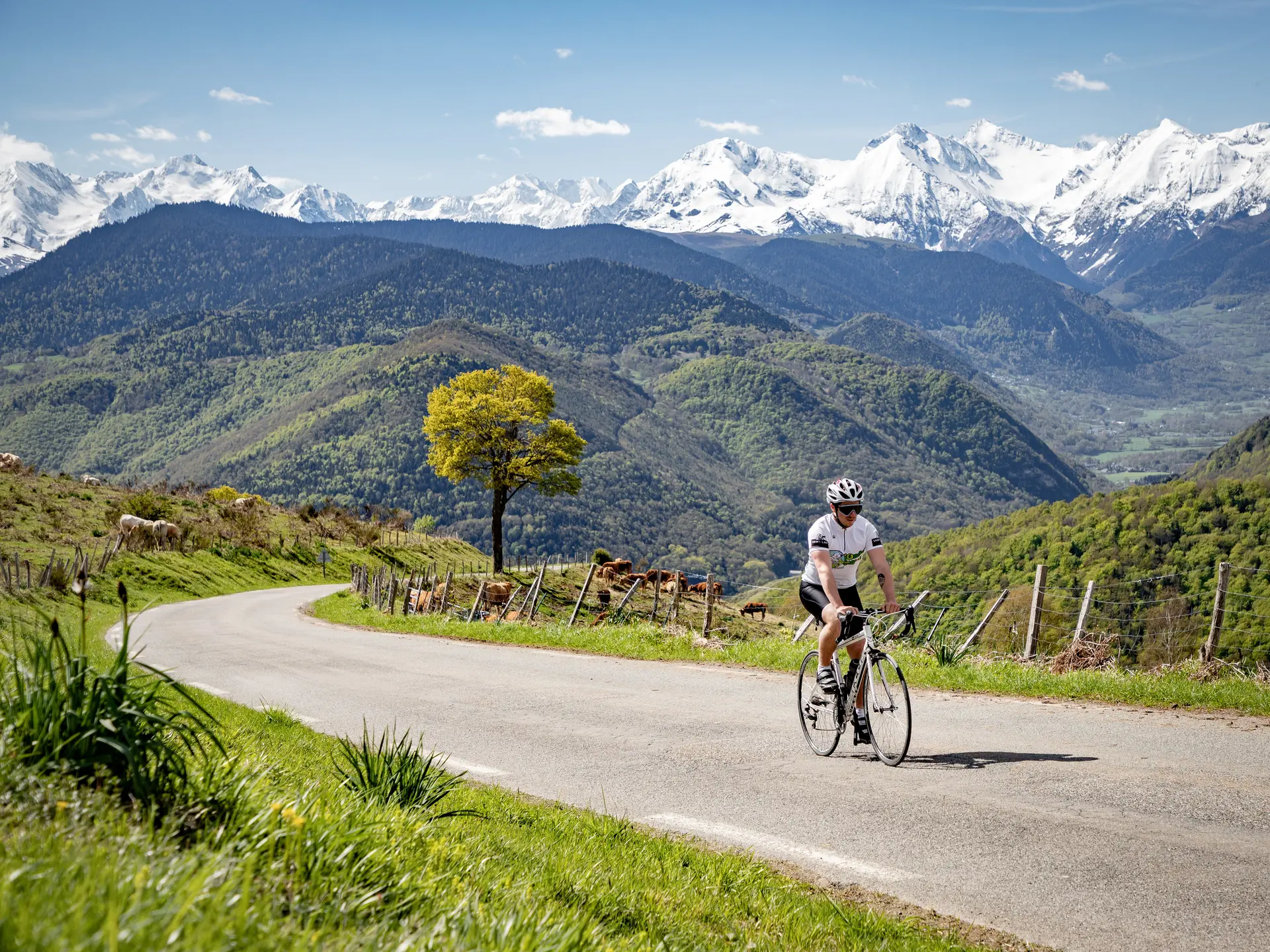 Le Col d'Aspin