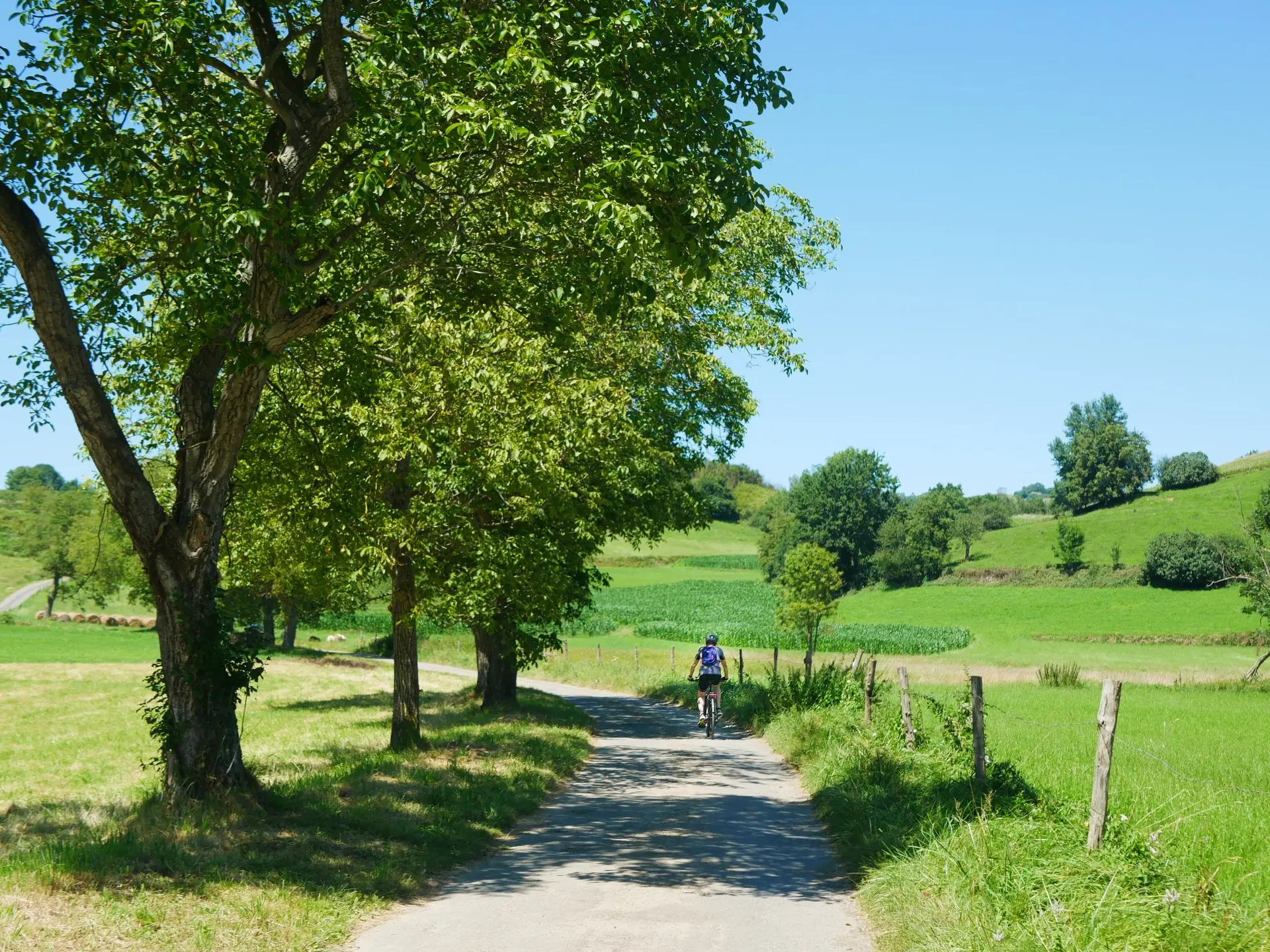 Castelloubon vélo nature personnage 5 ©OTLourdes_août2023
