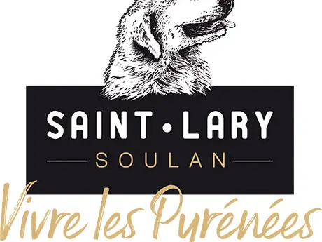 LOGO_ST_LARY_Signature_2020_DEF-PNG-PETIT