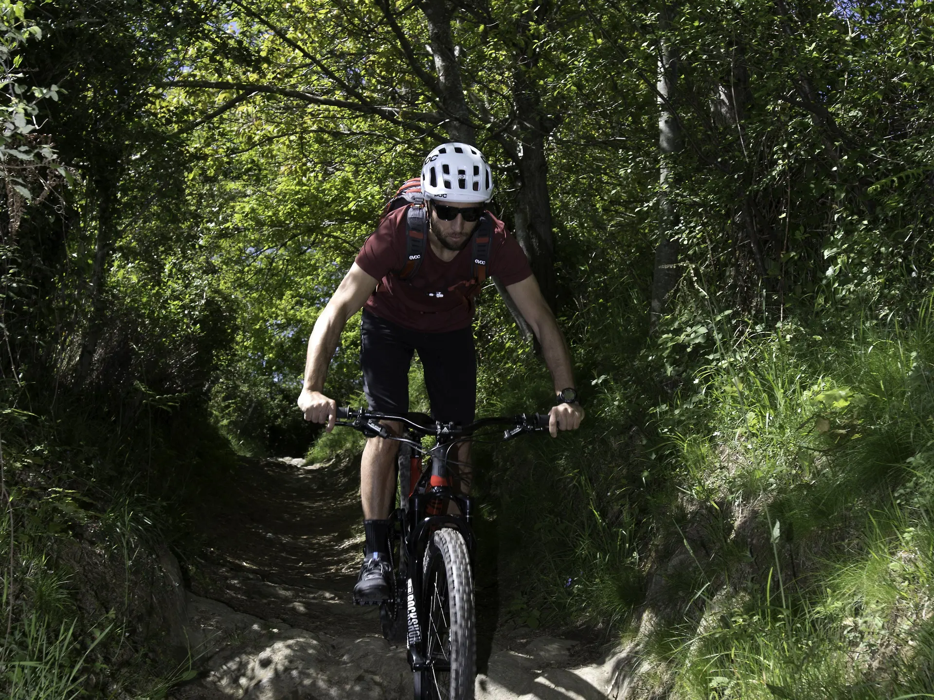 LOURDES-N°10-HENRIIV