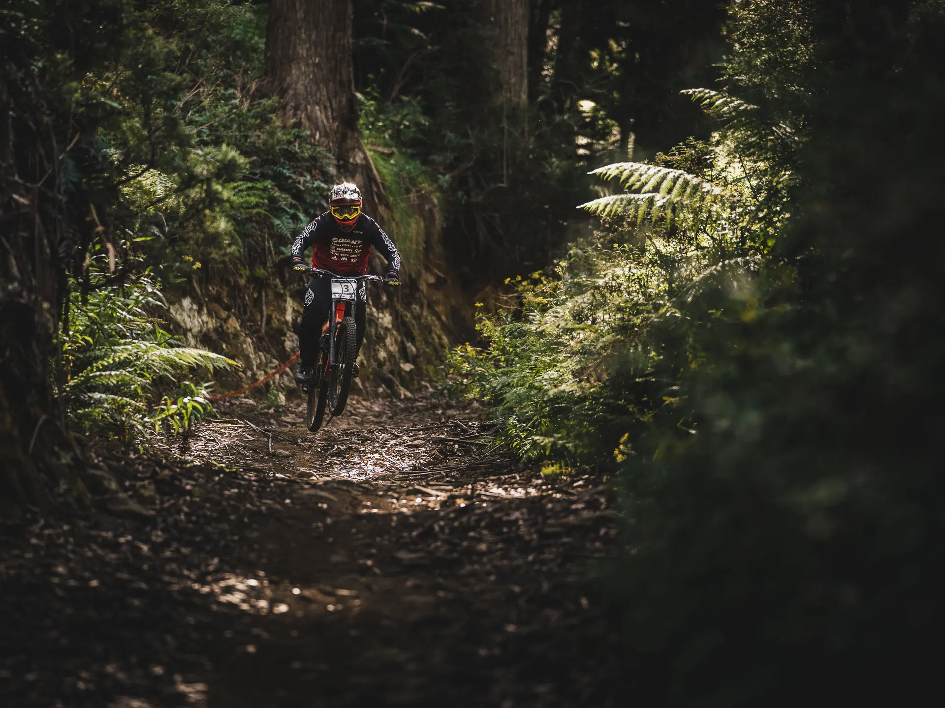 LOURDES-N°11-eerik-sandstrom