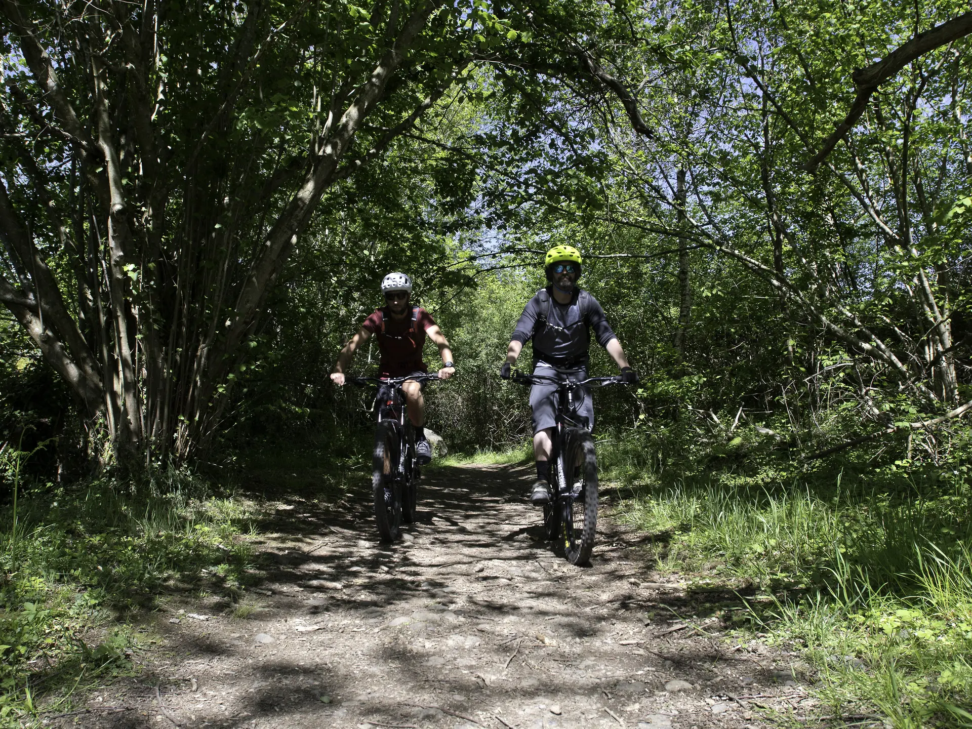 LOURDES-N°13-BATSURGUERE