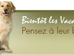 PENSION POUR CHIENS