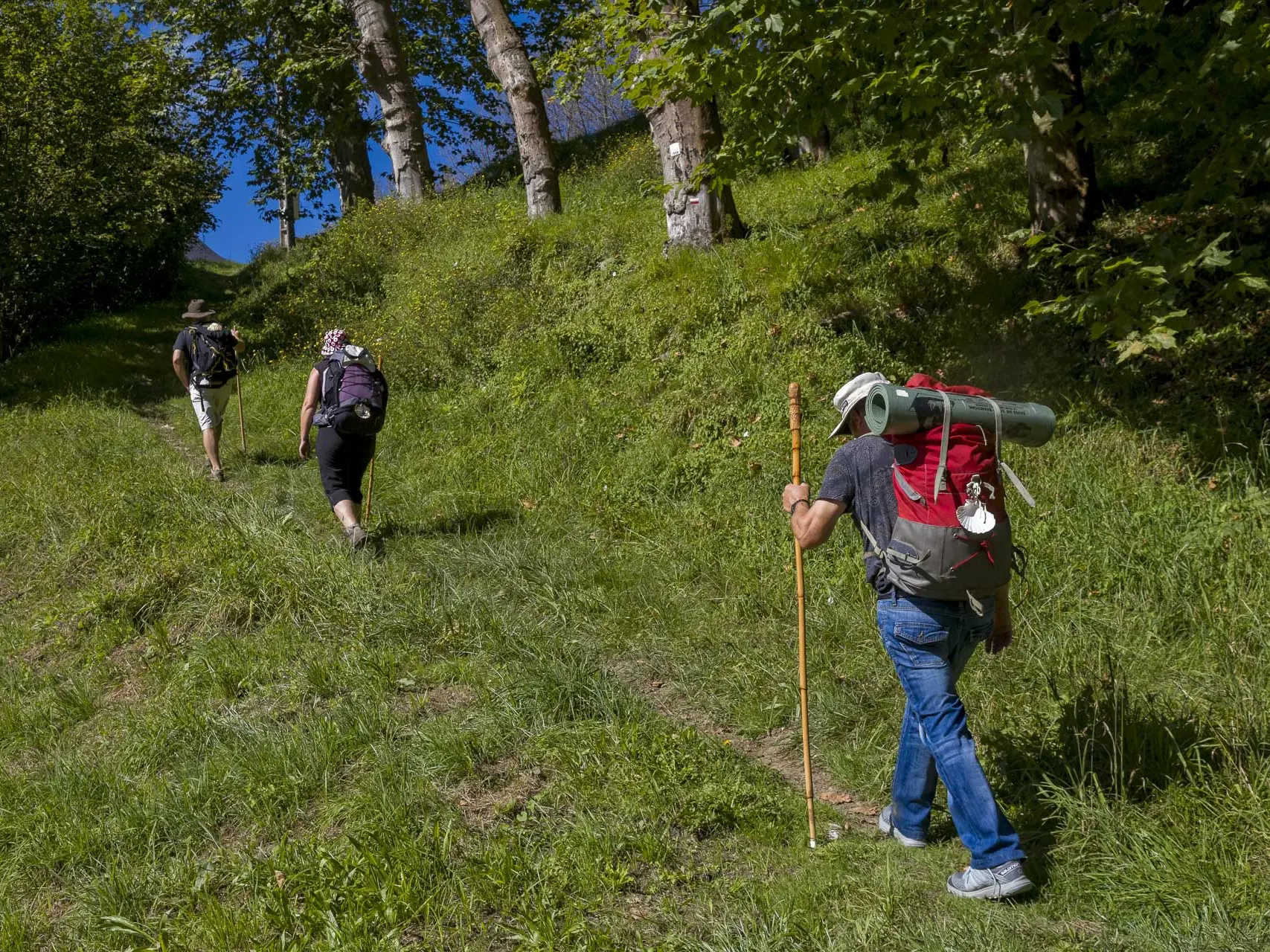 Randonneurs St Jacques_BD©P. Vincent-OT Lourdes_2014