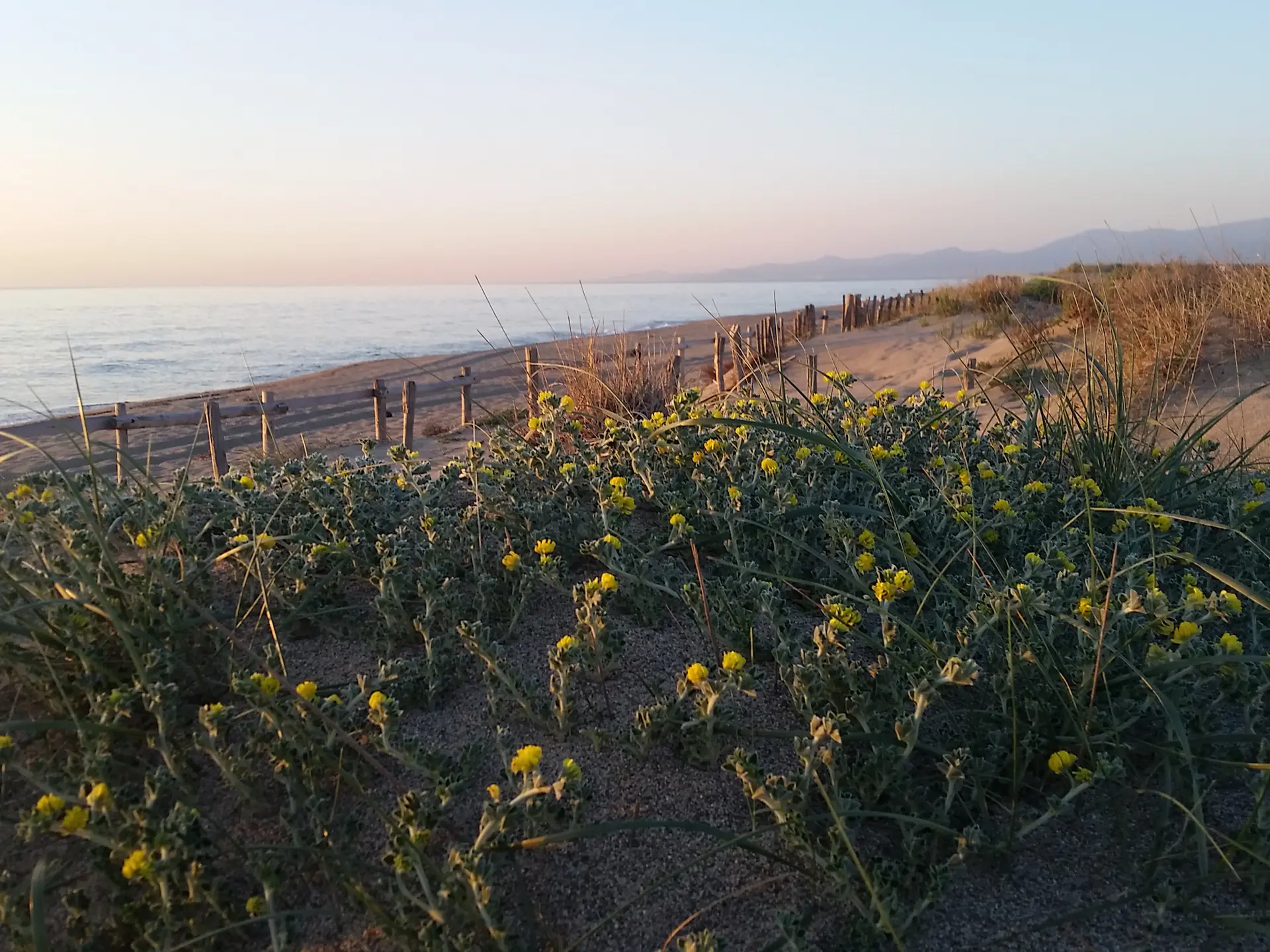 TORREILLES LOI PLAGE NORD