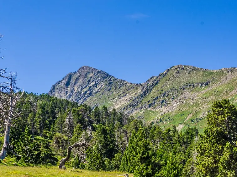En arrivant au pied du Canigó_1