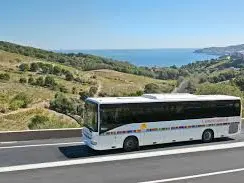 Bus 1€