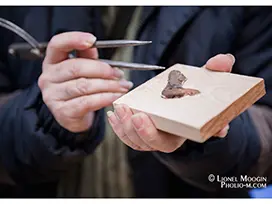 Ebeniste seguie3 credit Lionel Moogin