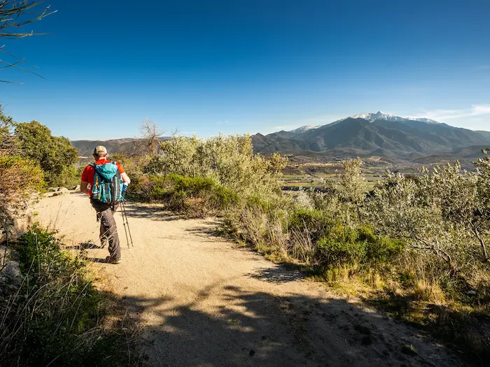 Marquixanes Arboussols