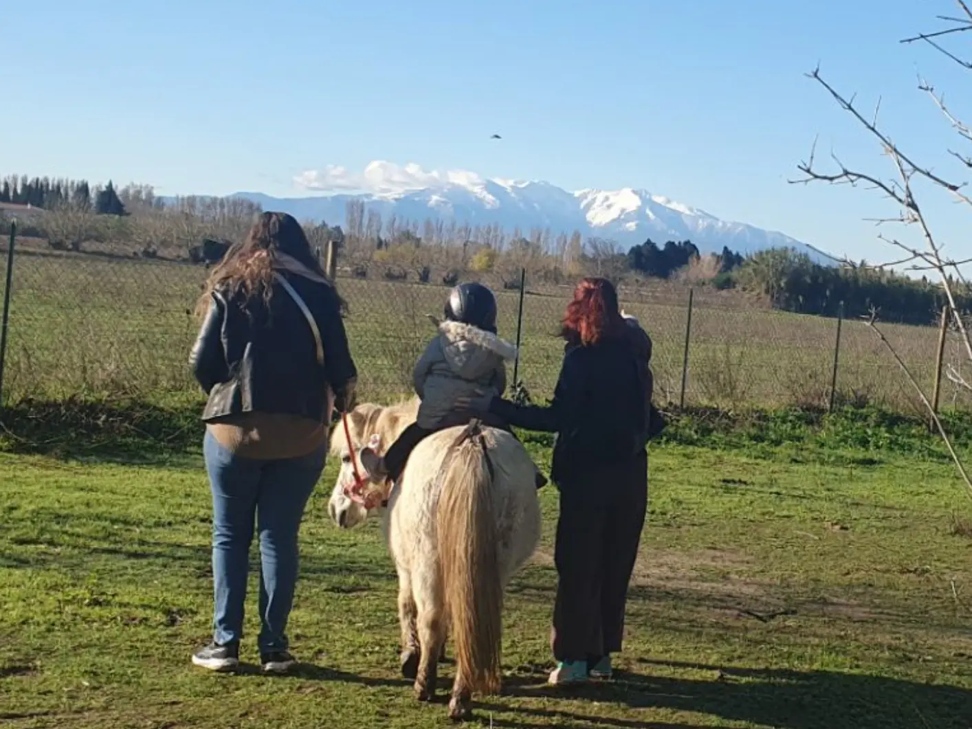 Sans titre (Étiquette pour étudiant) - 1
