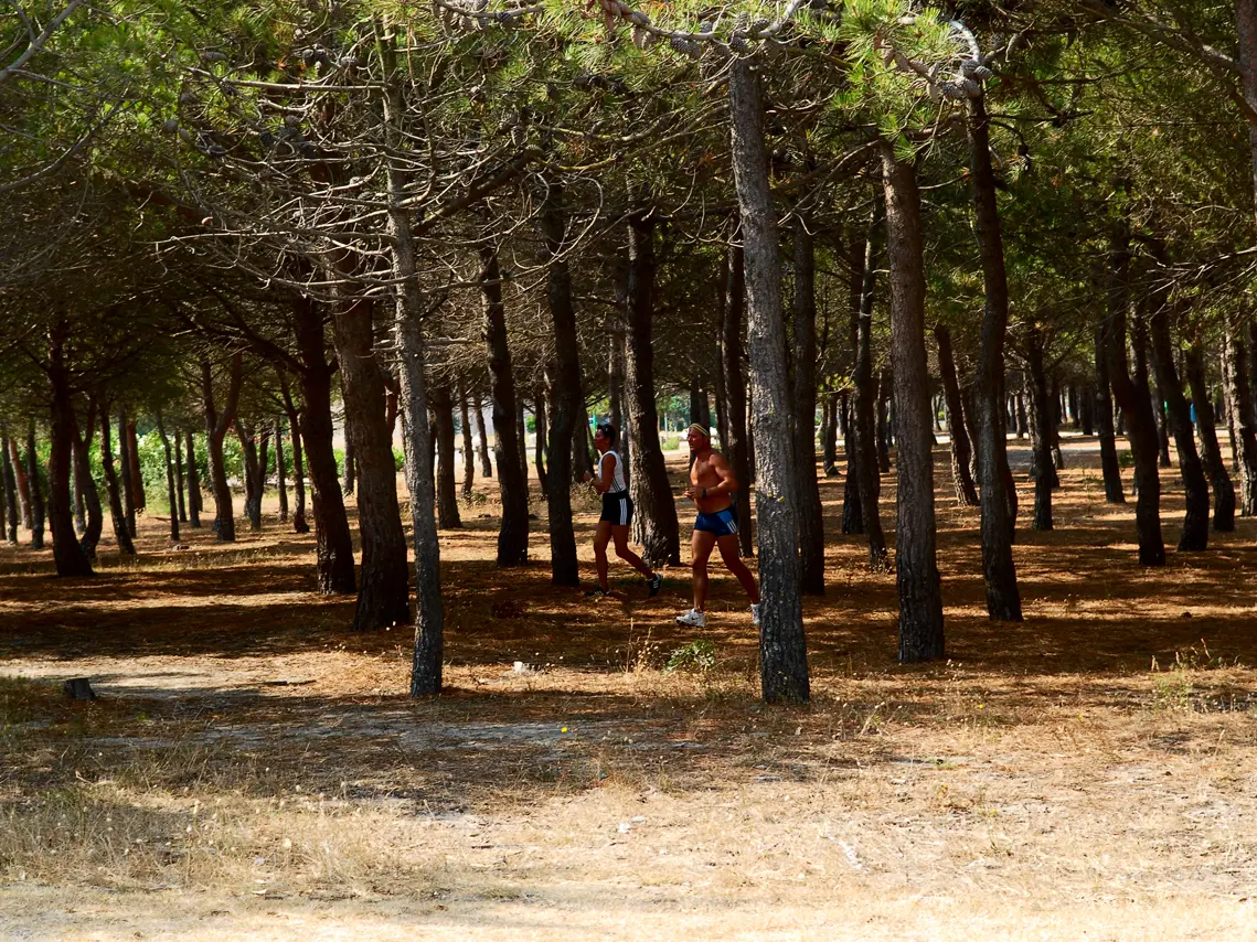 PORT BARCARES PINEDE