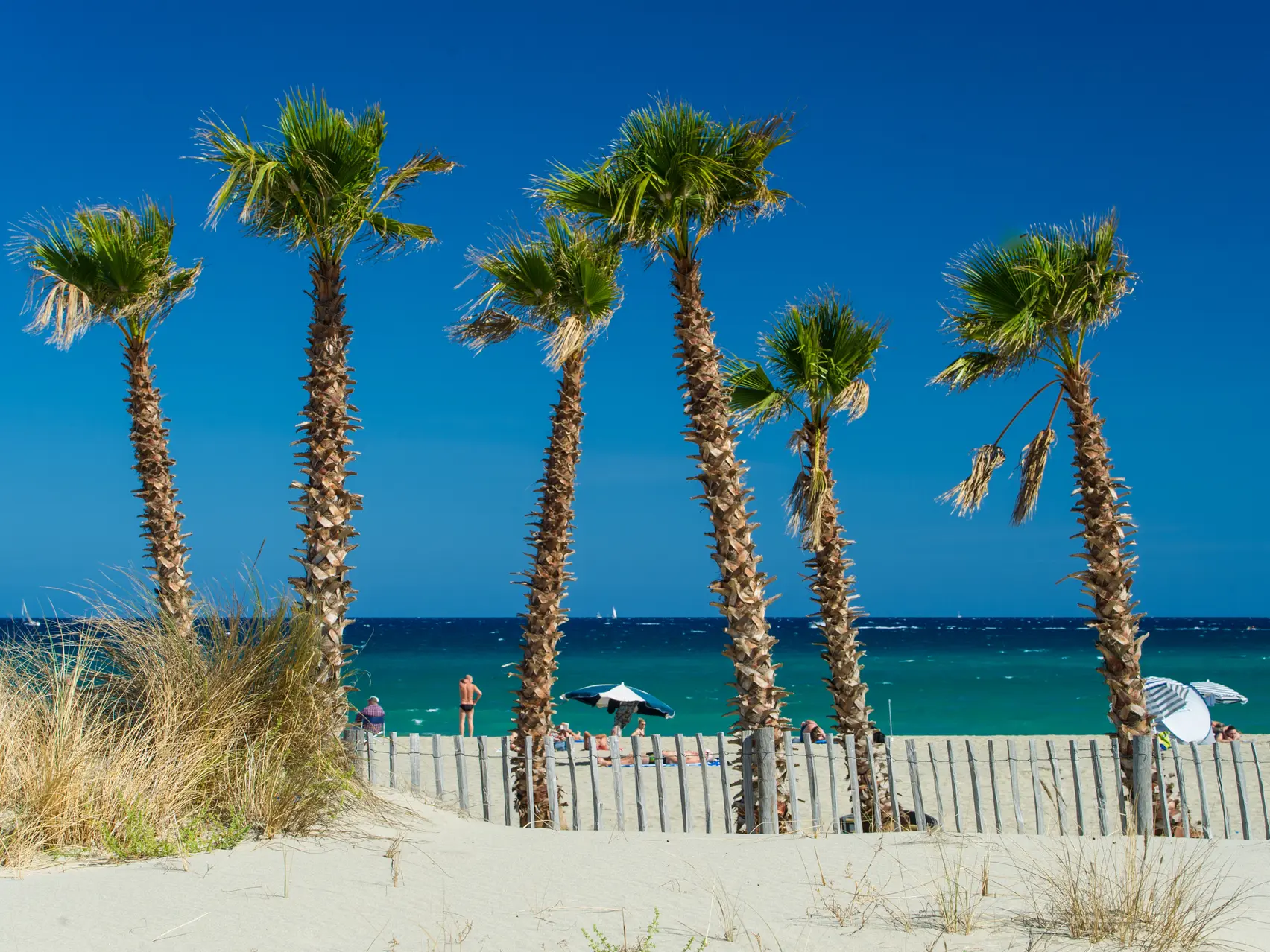 Plage Maillol - Saint-Cyprien (1)