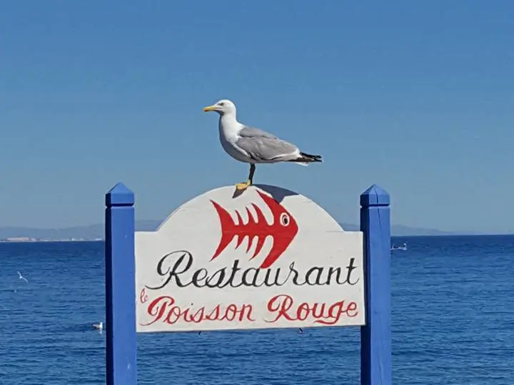 Restaurant le Poisson Rouge