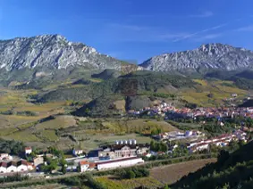 Cellier des Vignerons de Maury