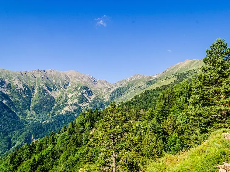 Vue sur la Canigó depuis le Bosc de Patriques_1
