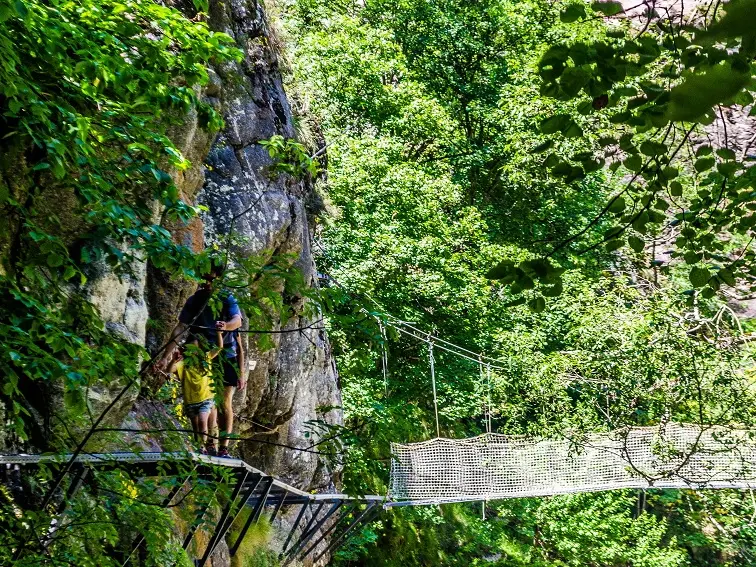 Passage sur les passerelles et ponts de singe_1