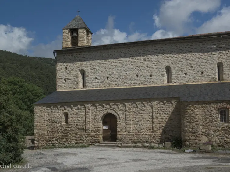 feuilla_du_bas_clocher_de_lnglise_st_eulalie_____
