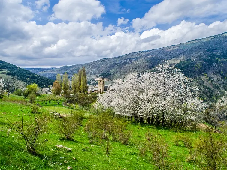 Vue sur Prats Balaguer et le haut-Conflent_1