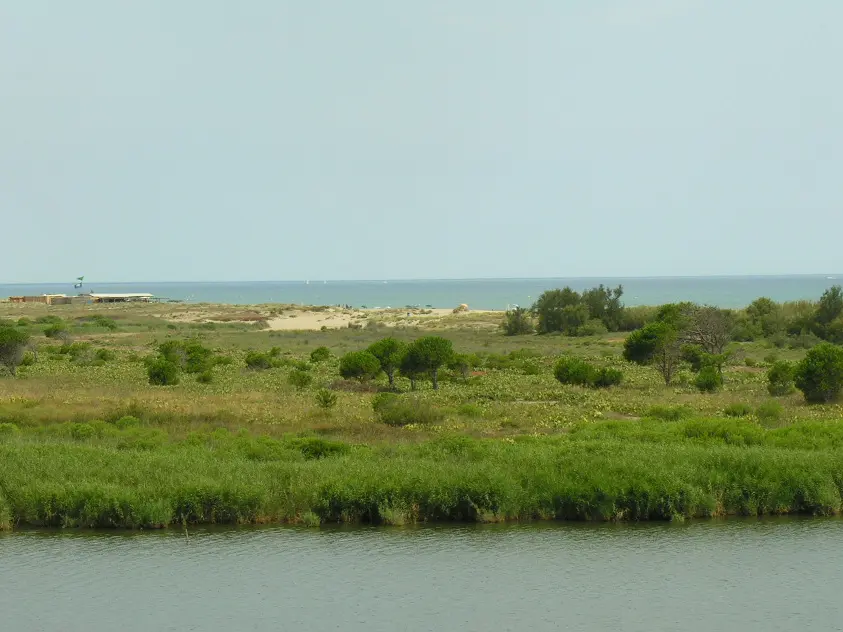 TORREILLES LOI PLAGE SUD