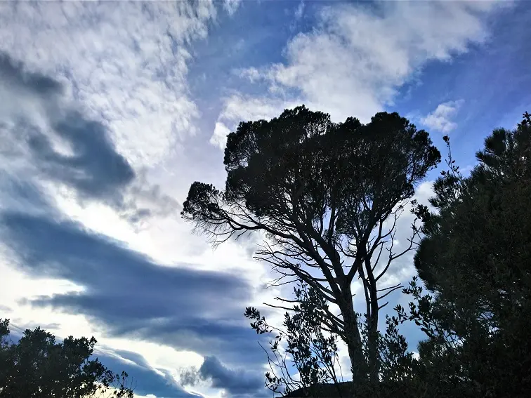 Vue sur le Pi del Rei_1