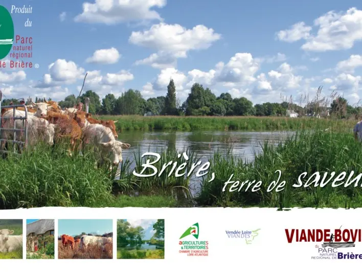 viande-bovine-marque-parc-naturel-regional-de-briere-logo-1212209