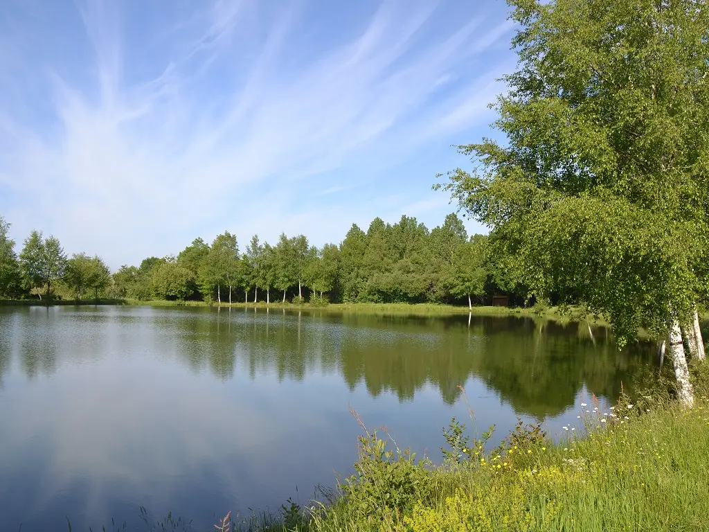 Etang de Champfrémont