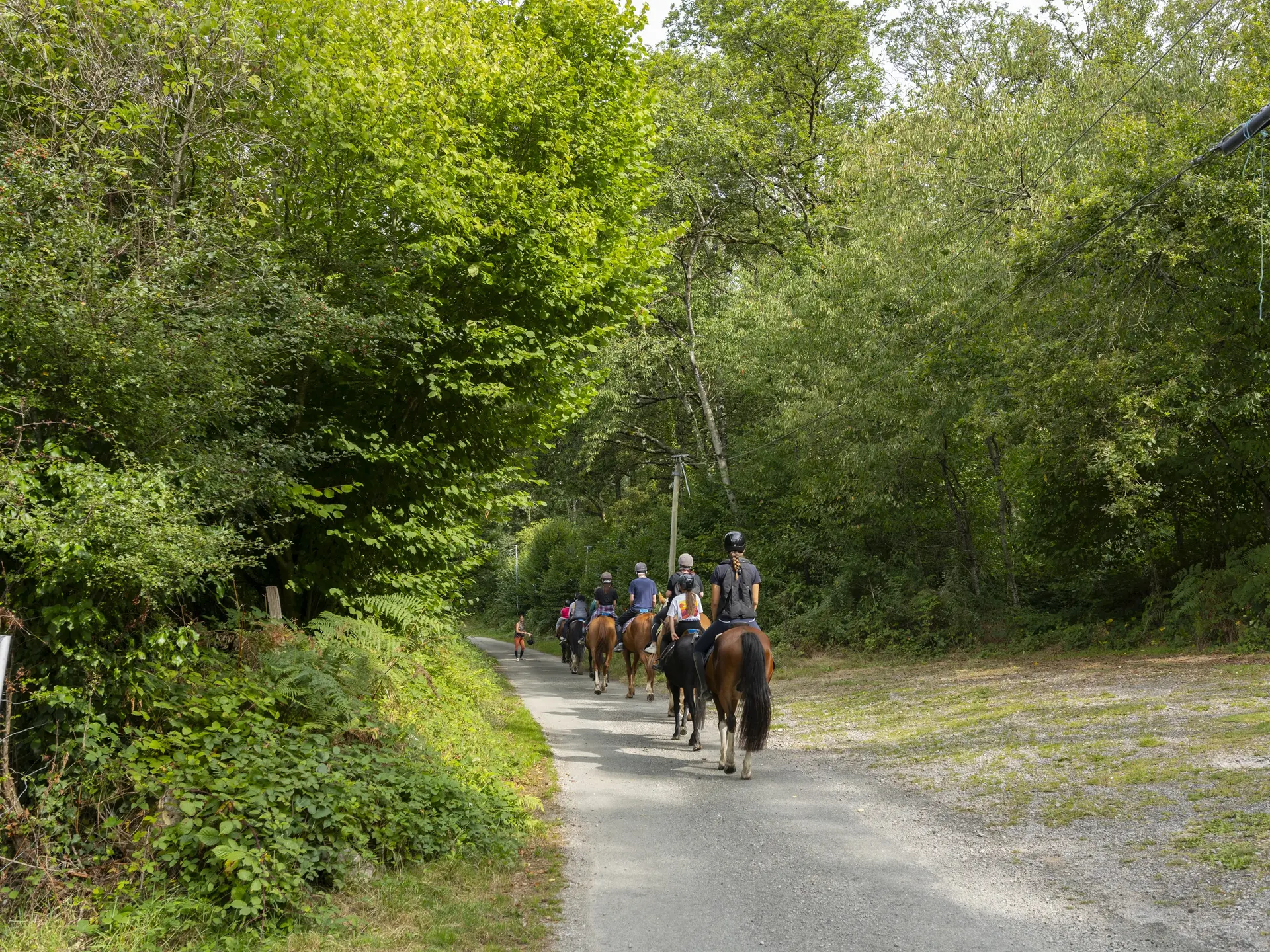 Équitation dans les Alpes Mancelles