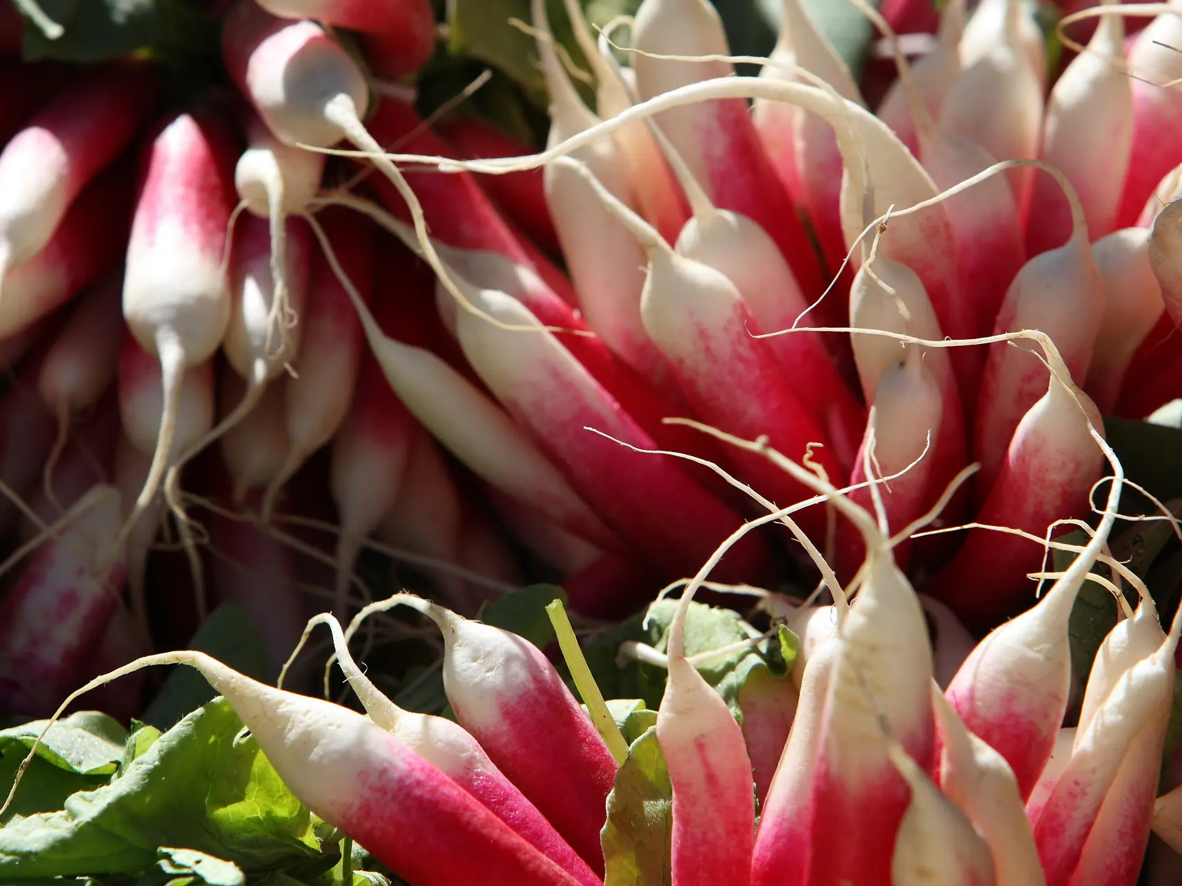 Marche--CP-Dominique_VERNIER-_Mayenne_Tourisme-1920px(3)