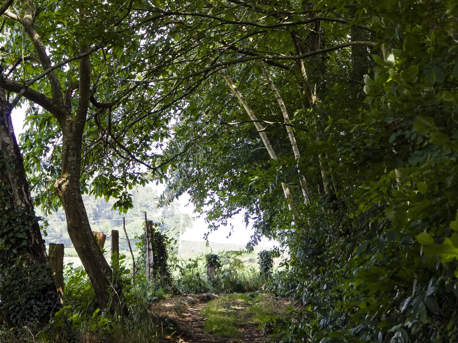 Montaudin-Pihoraye-Bocage-Mayennais-Tourisme--6-