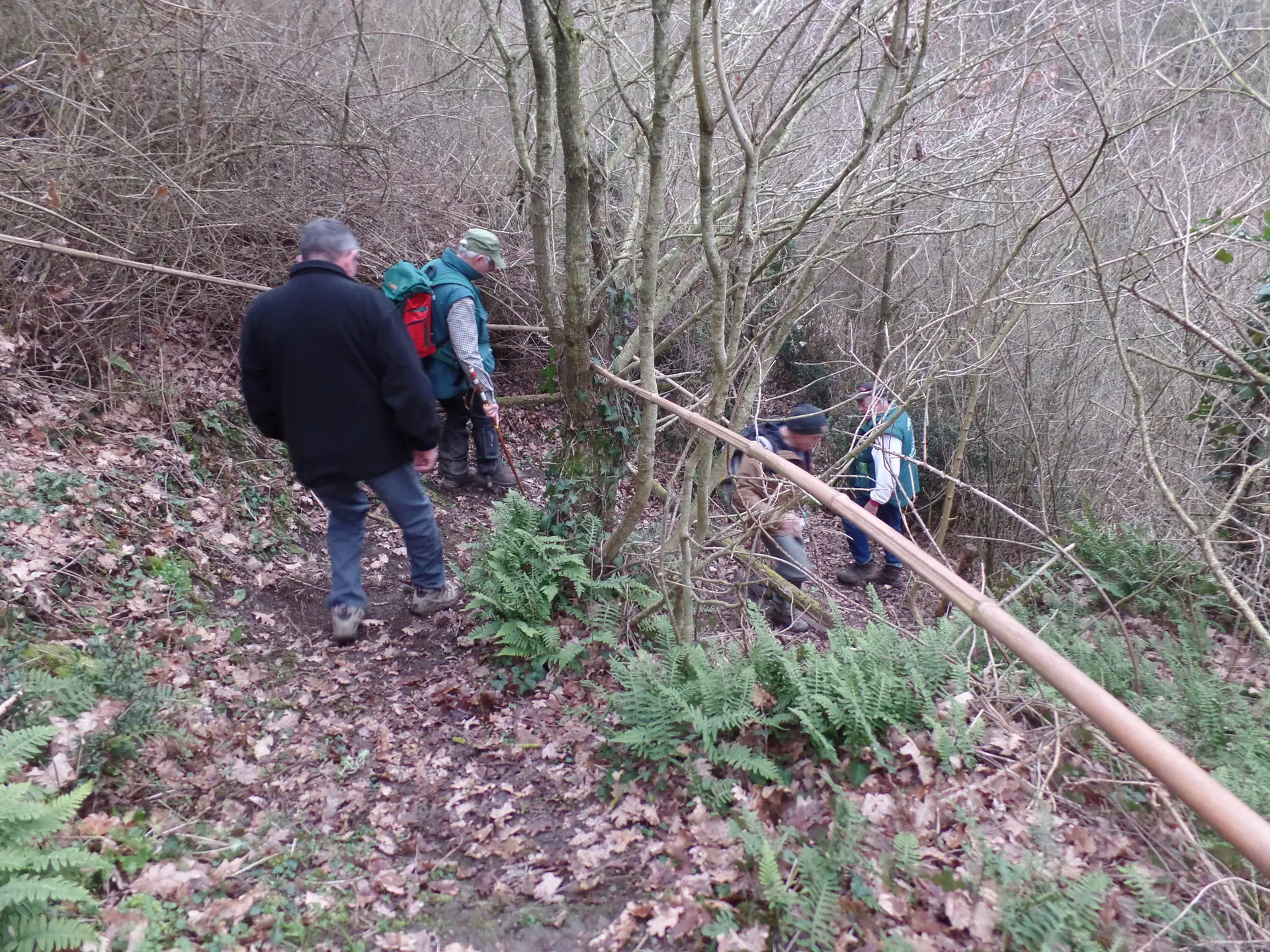sentier - Breuil Barret - 85