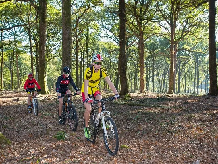VTT en forêt de Mervent