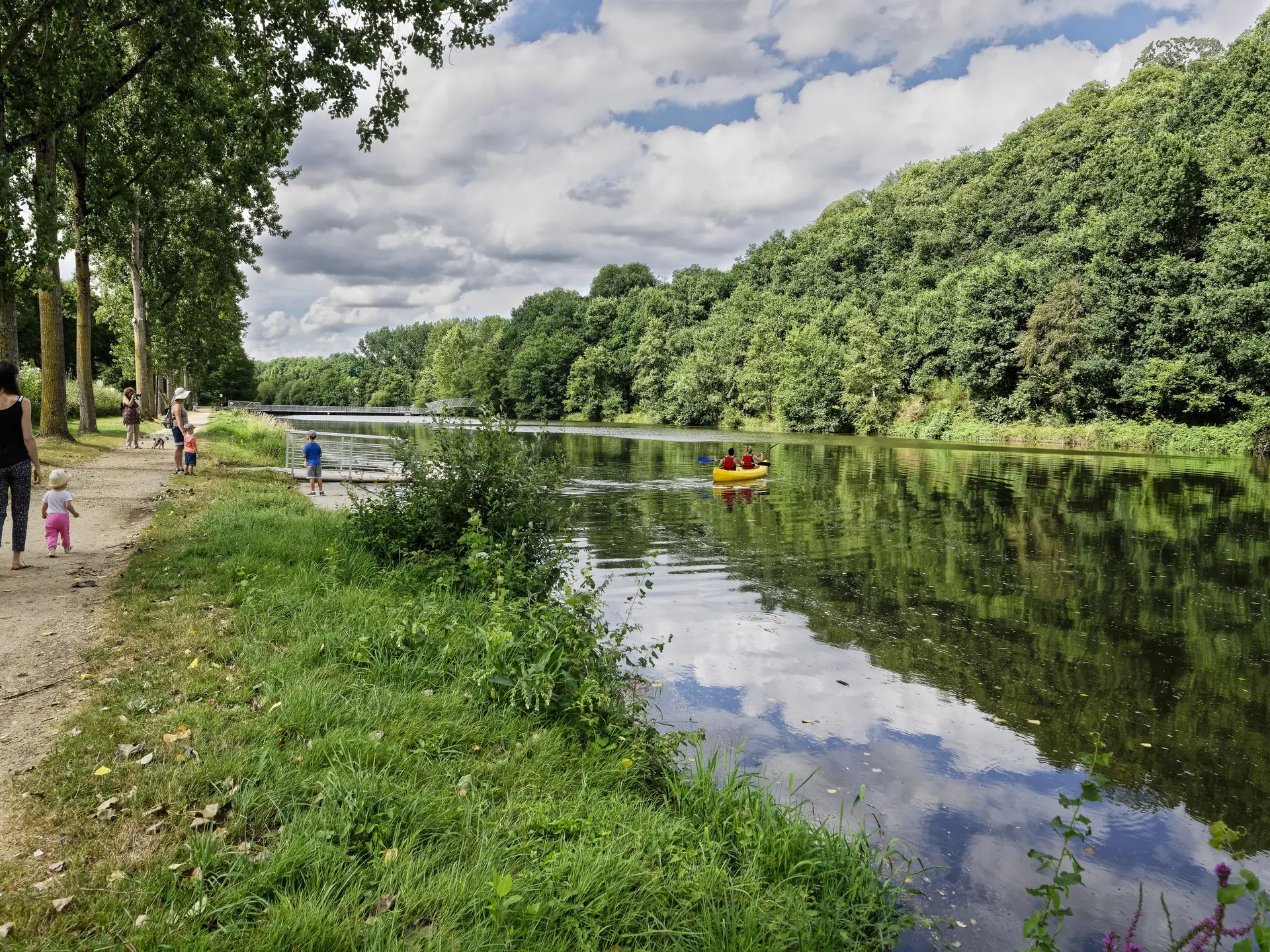 ambrieres-les-vallees---jy-guyard---bocage-mayennais--54-