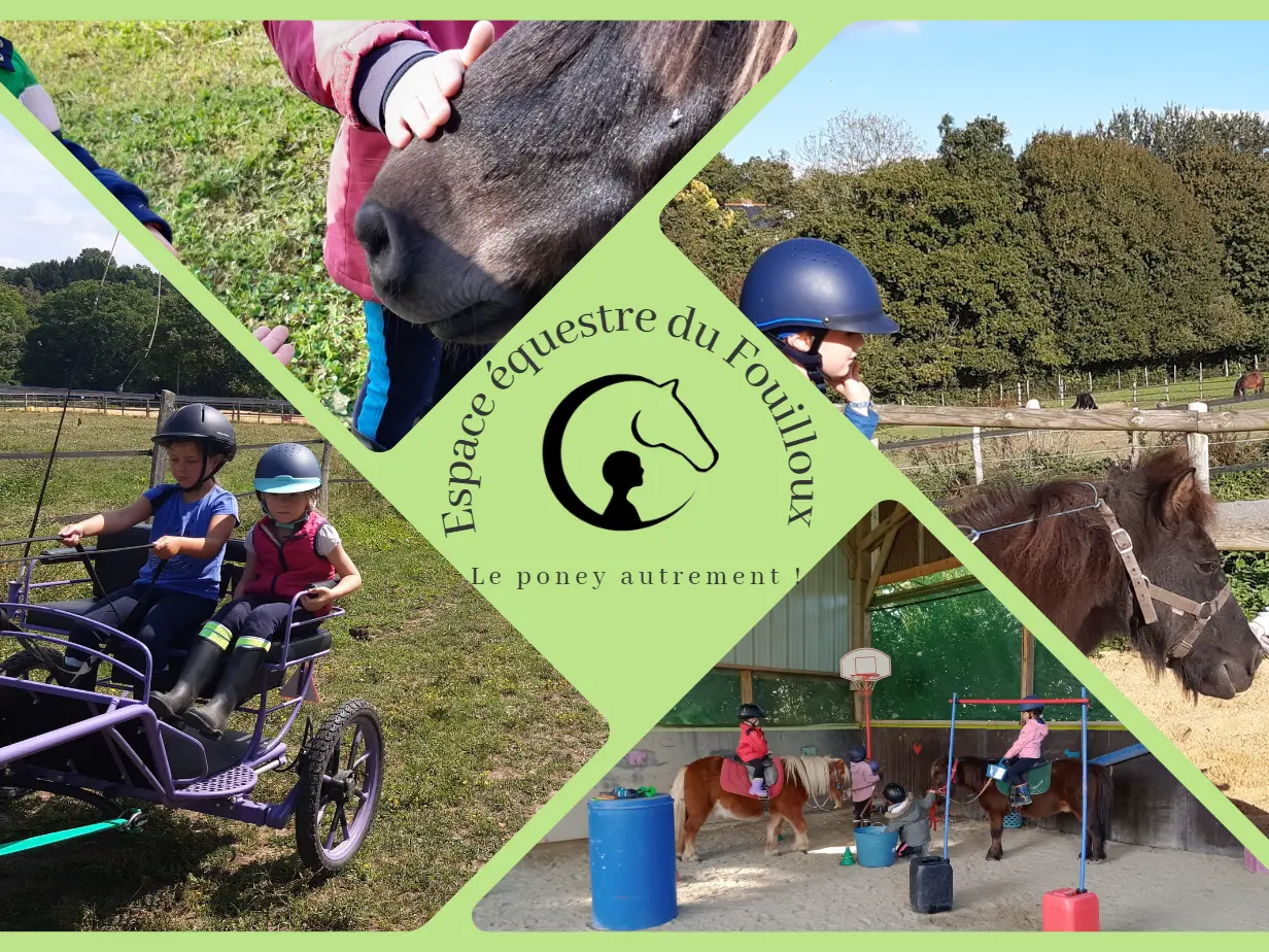 comm presentation espace equestre