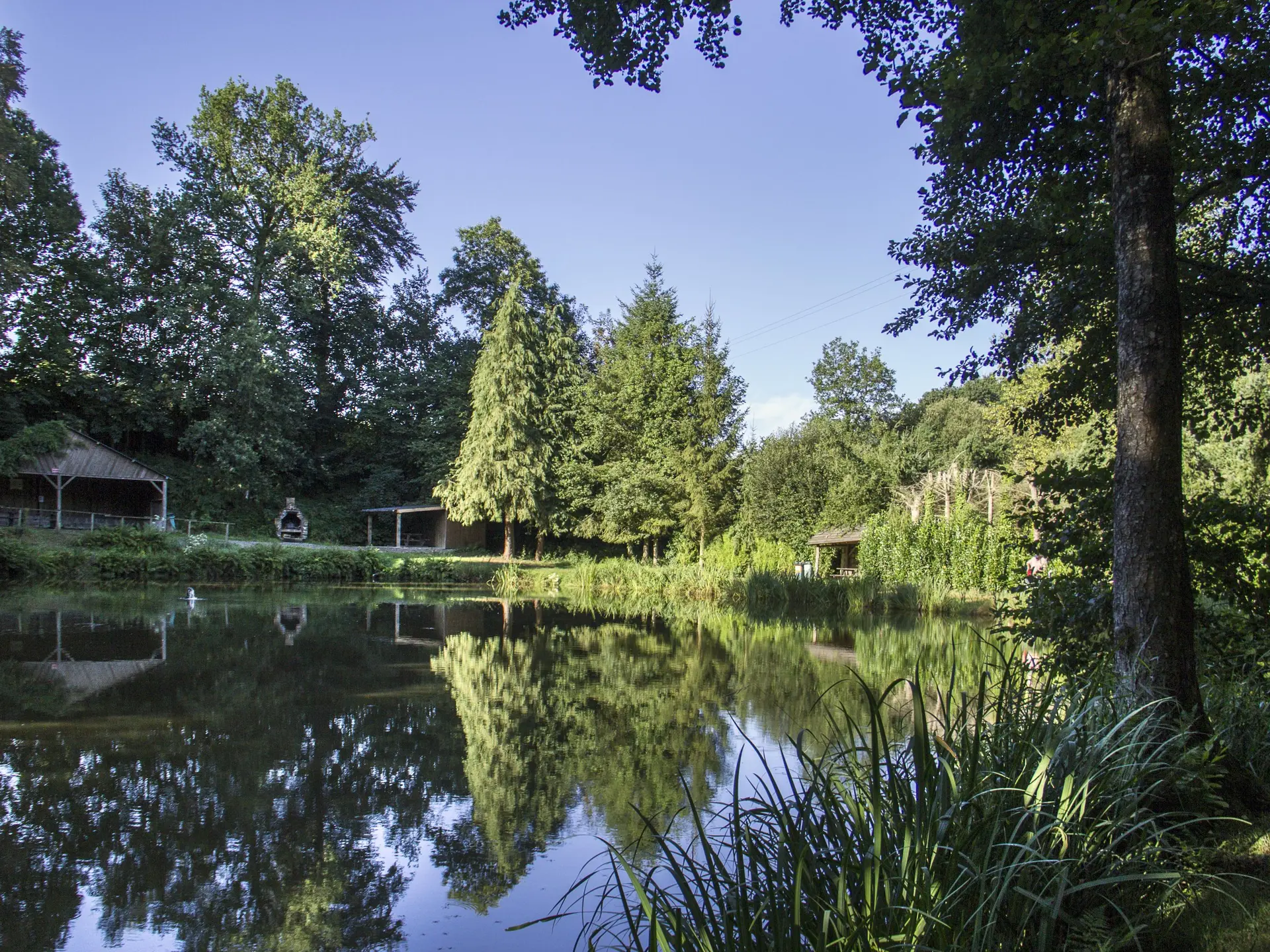 colombiers-du-plessis---bocage-mayennais-rev-jy-guyard--15--2