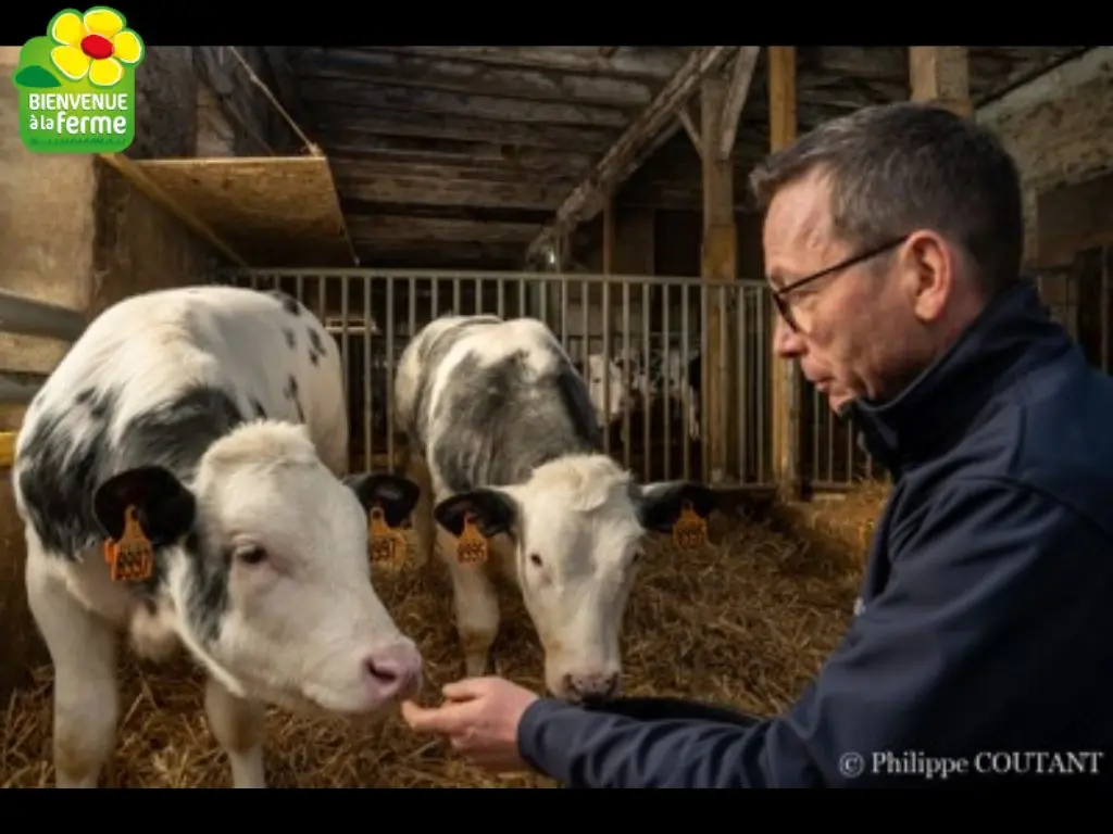 patrice-paillard-veau