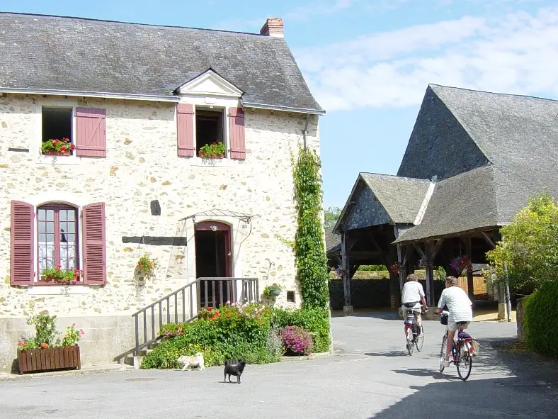 saint-denis-d-anjou (19)