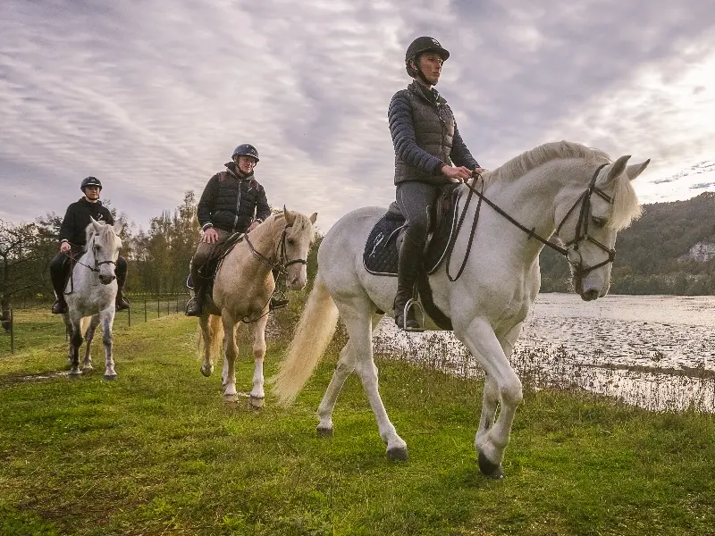 3 - Chevaux (800 x 600)