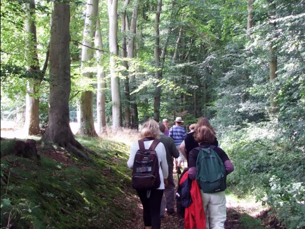 Randonnée sur le Plateau de Caux