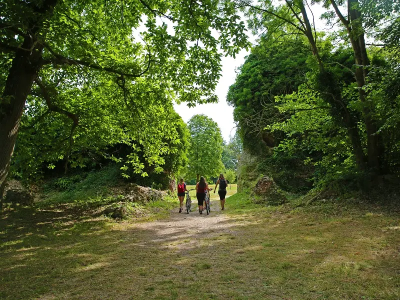 Randonnée Terroir de Caux Des Glycines à la Porte Noire (7)