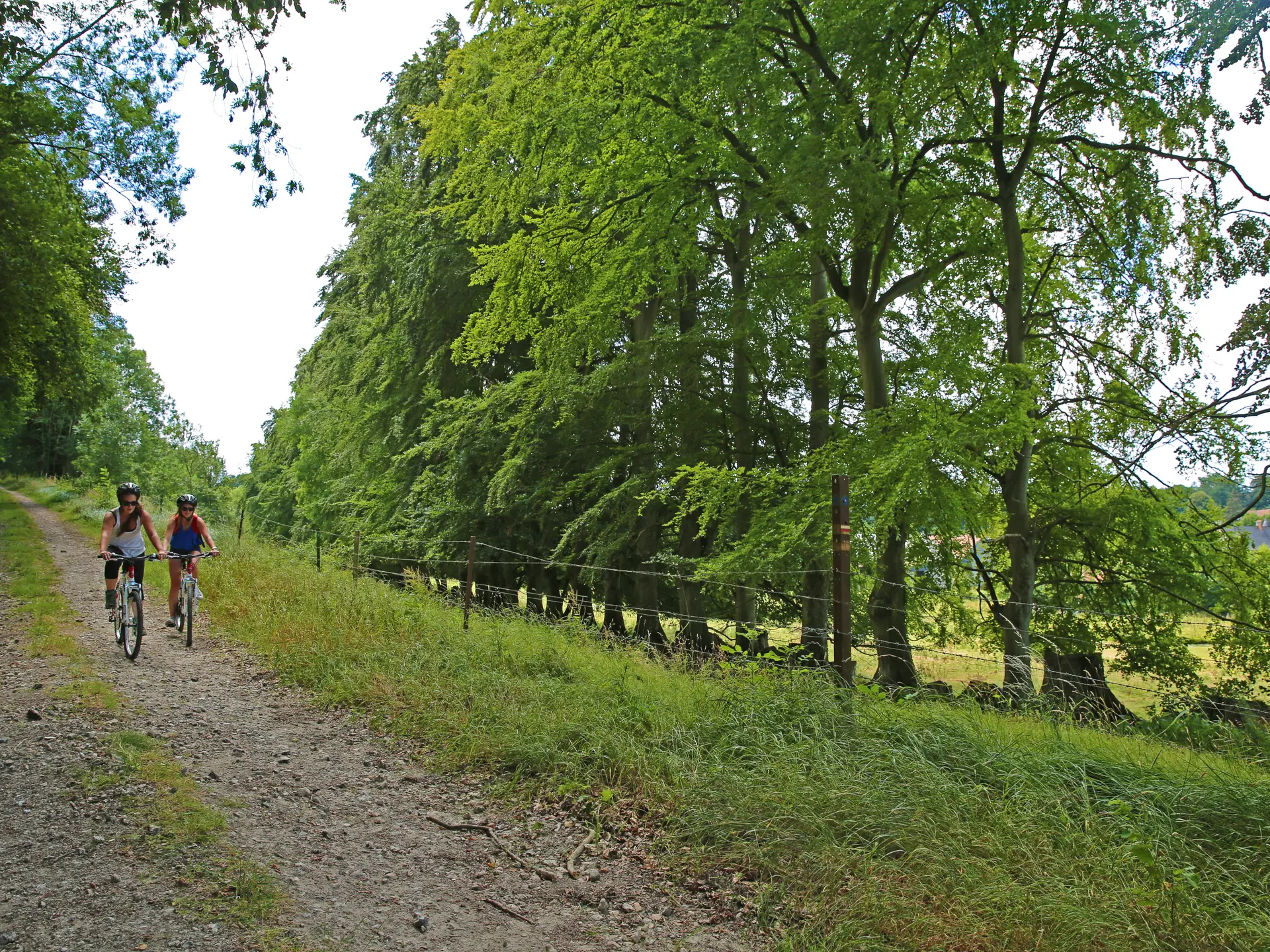 Terroir de Caux© SMA76 -A.BEAUVOIS (24)