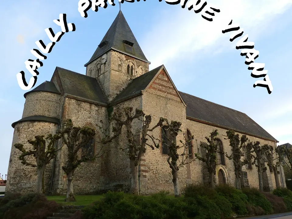logo-cailly-patrimoine-vivant