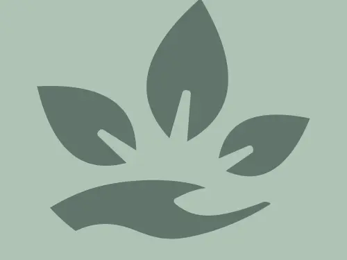 logos-Plan-de-travail-1-01-copie