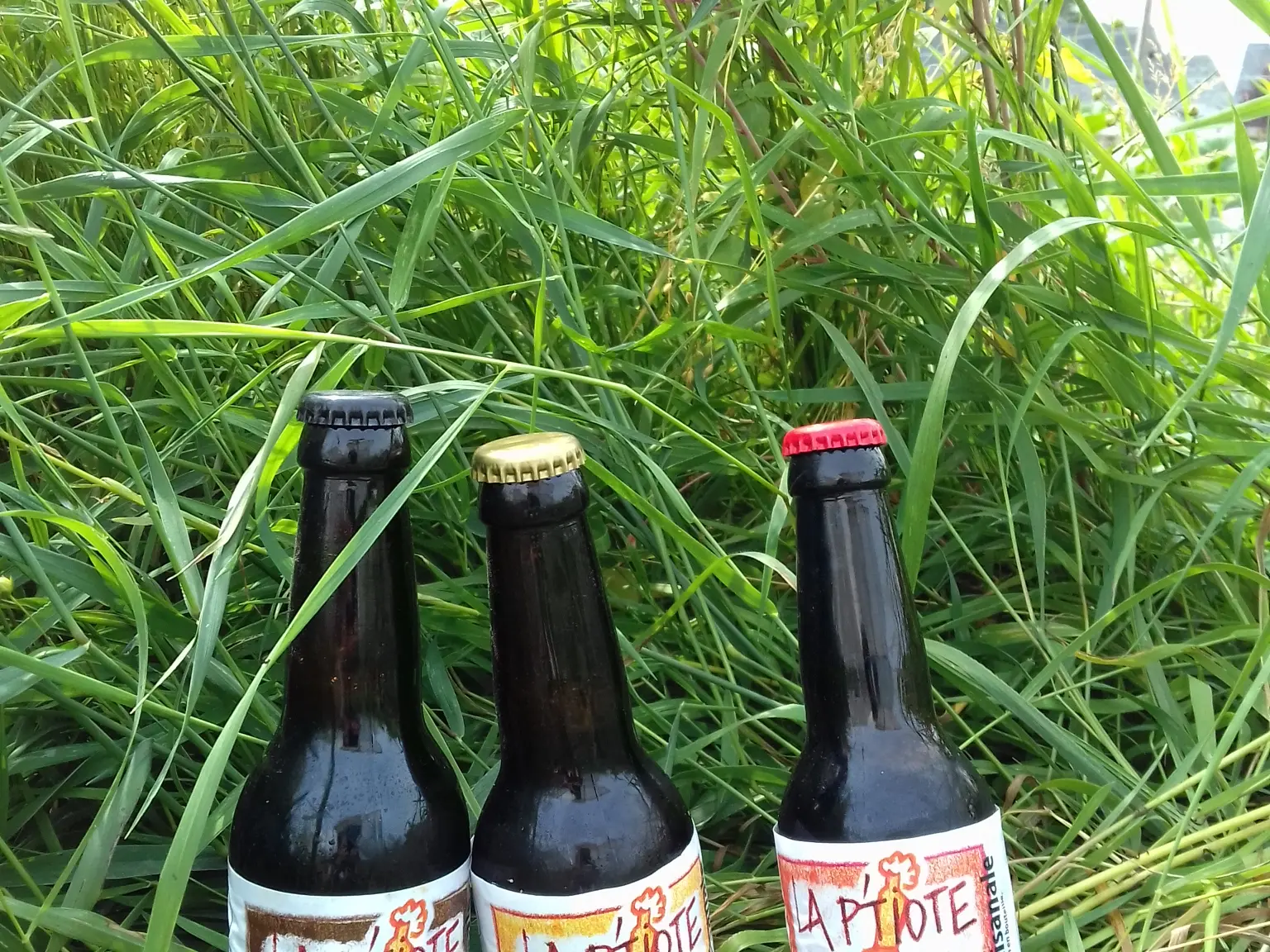 photo des P'tiotes de l'affiche