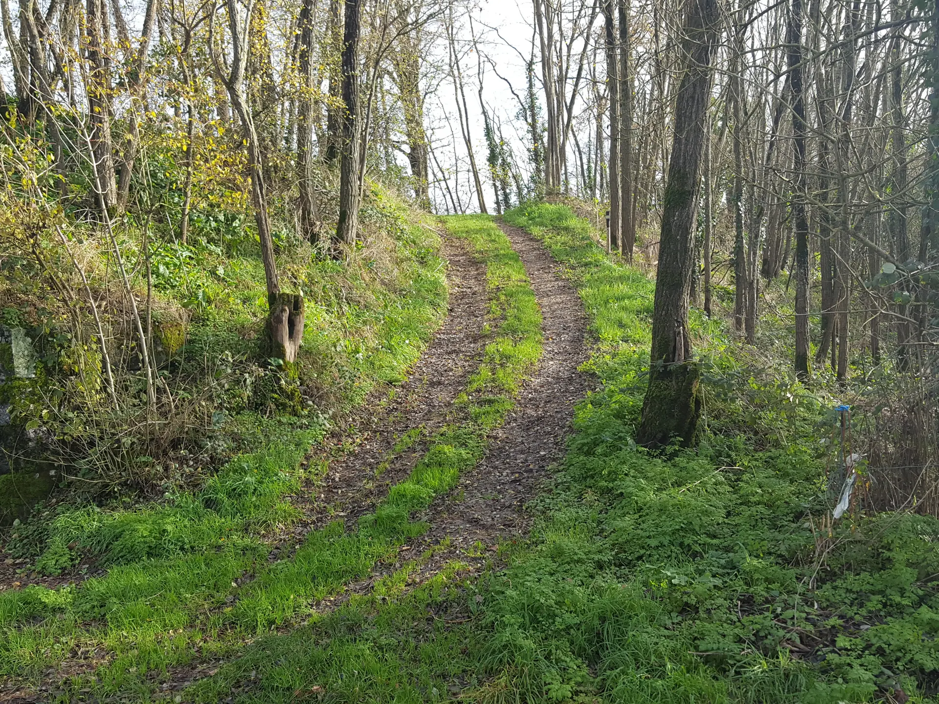 sentier du Barabin - St Sulpice en Pareds - 85