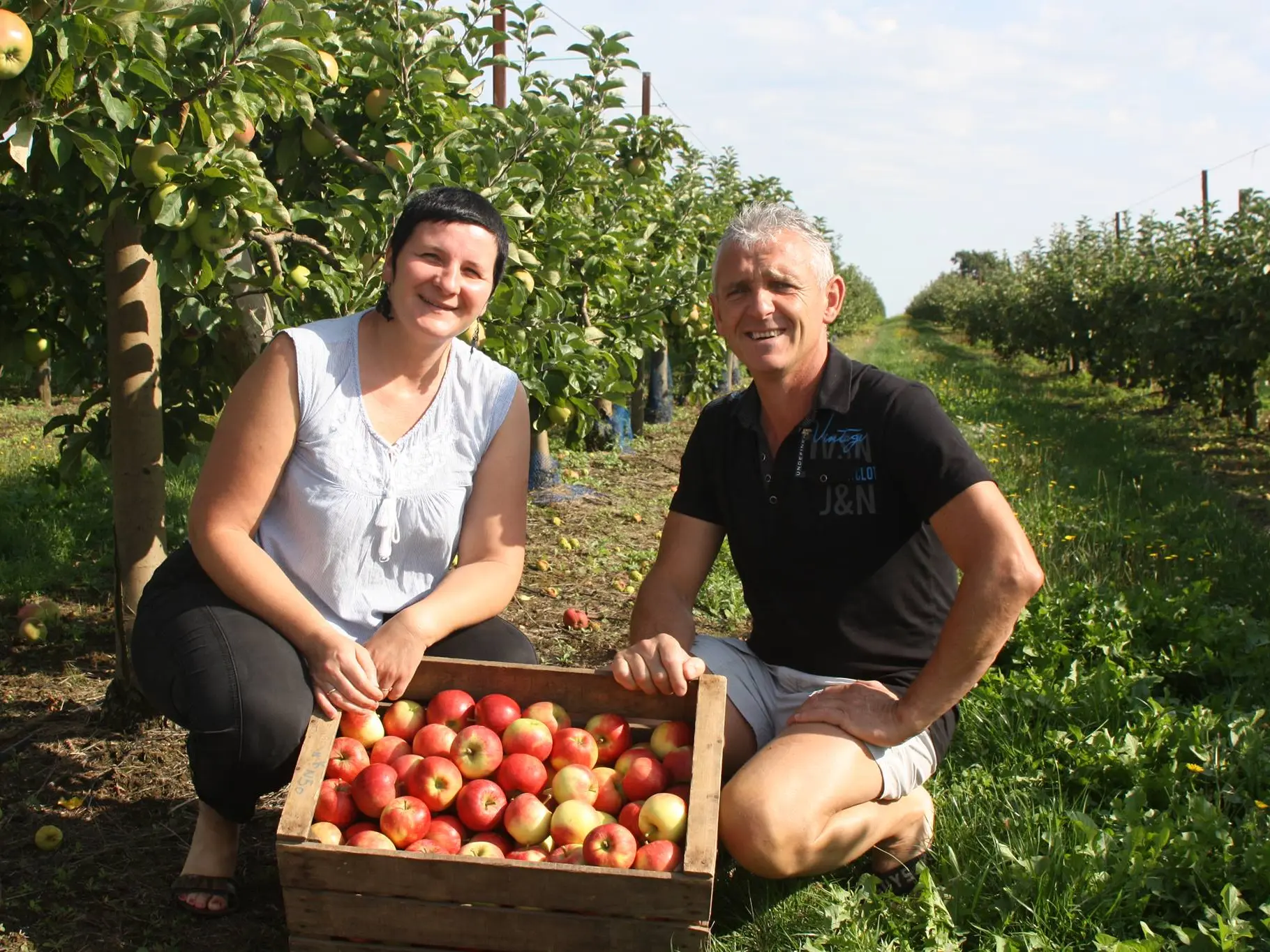 Pommes Pasquier - Bazoges en Pareds - 85