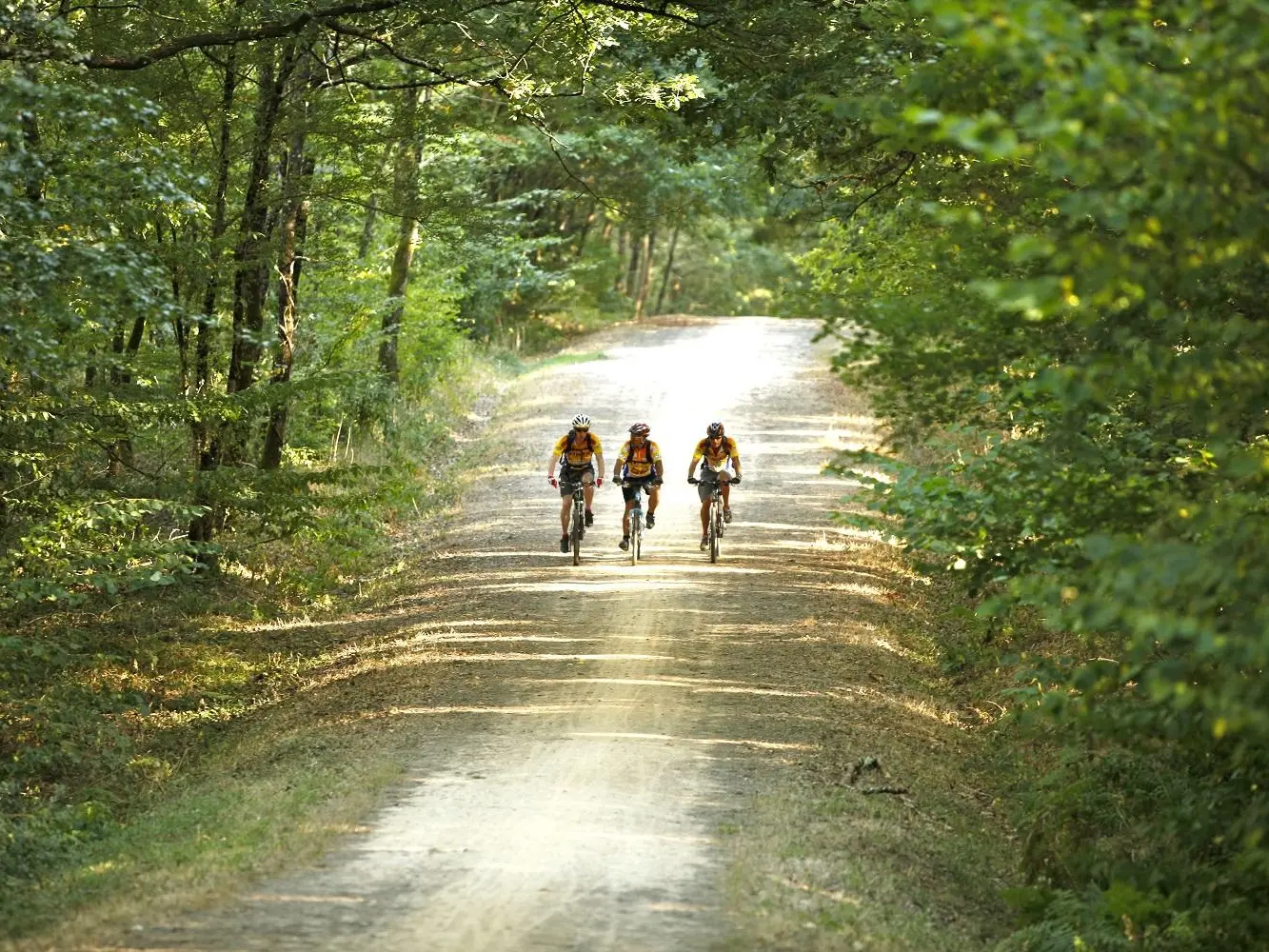 VTT Mervent