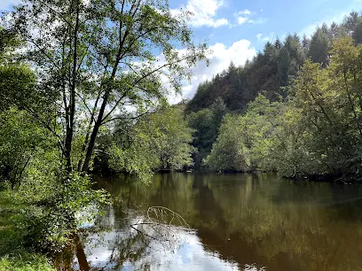 Pêche Carpe de Nuit de la Vienne